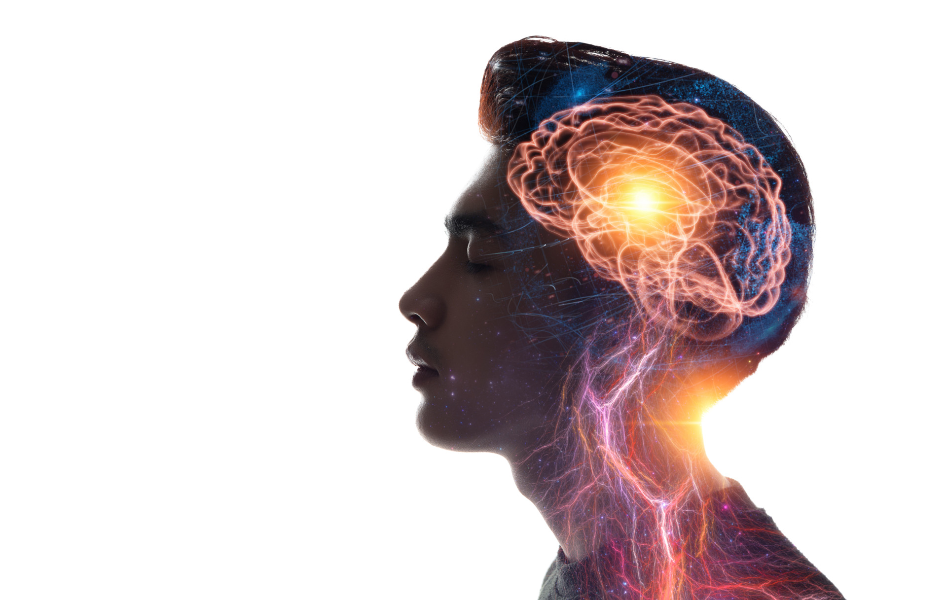 Human,Head,And,Brain