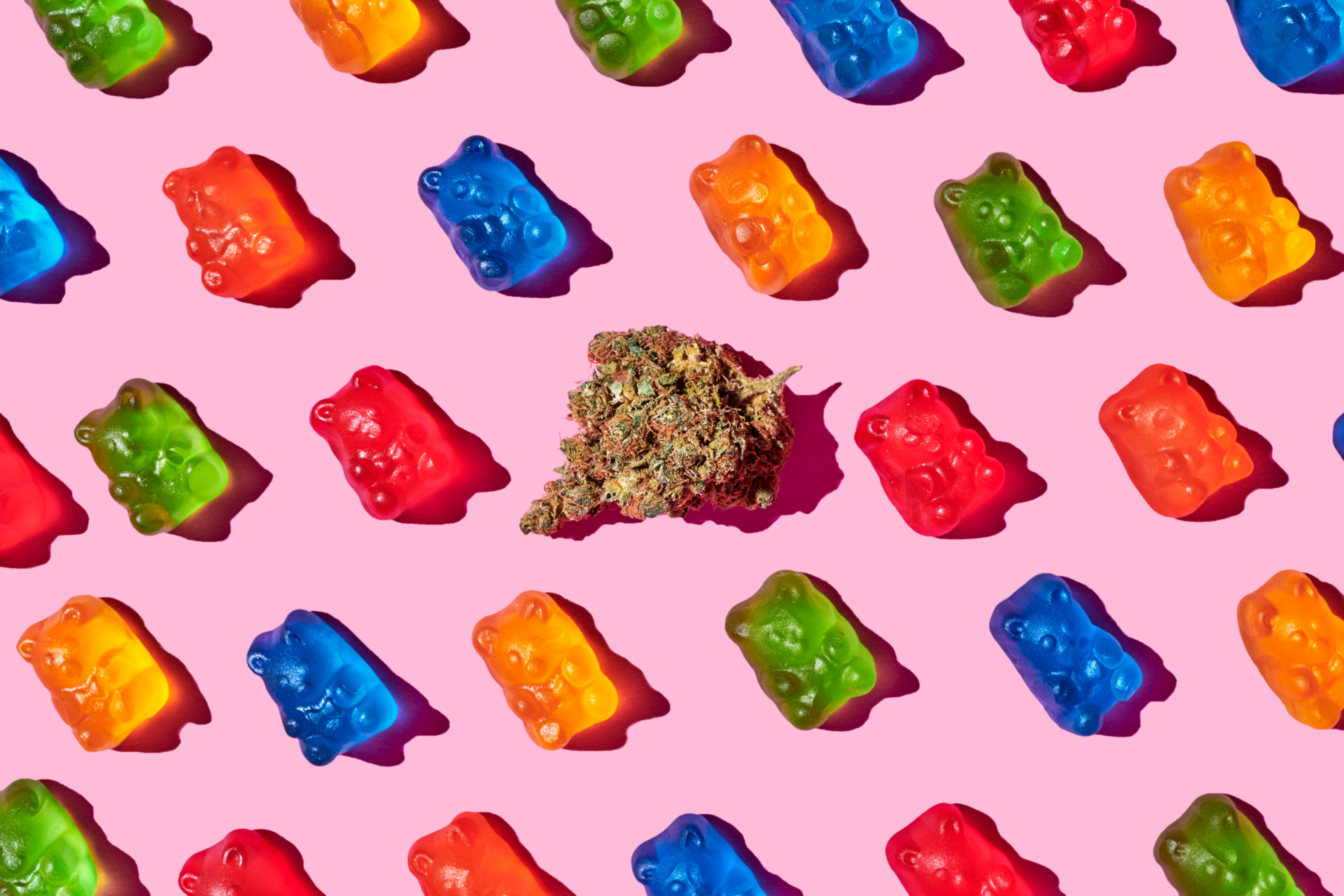 Do edibles make you groggy, represented by gummy bears and a cannabis bud on a pink background