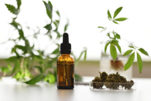 Cannabis and essential oils on a counter