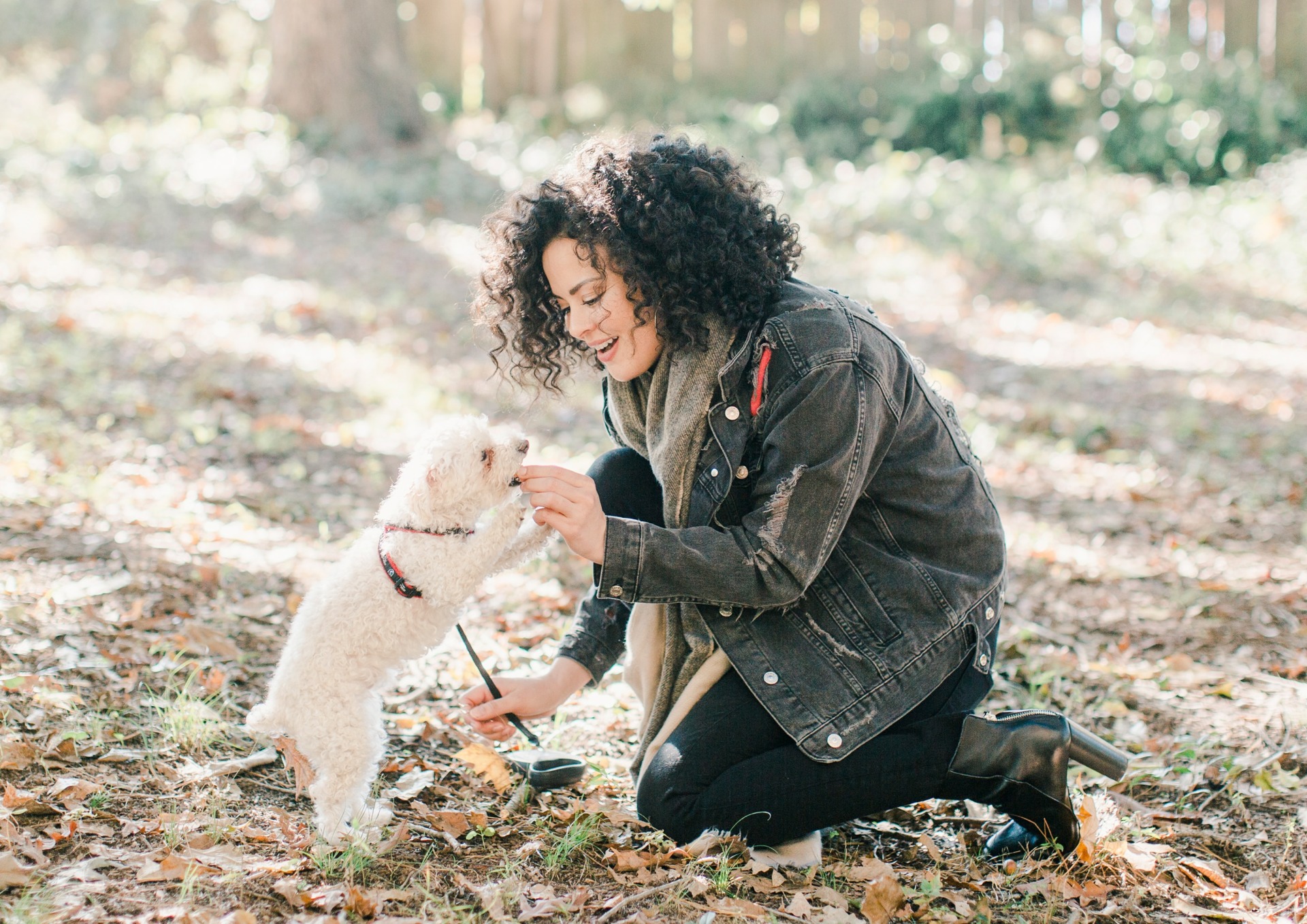 Peanut Butter & Pumpkin CBD Dog Treats