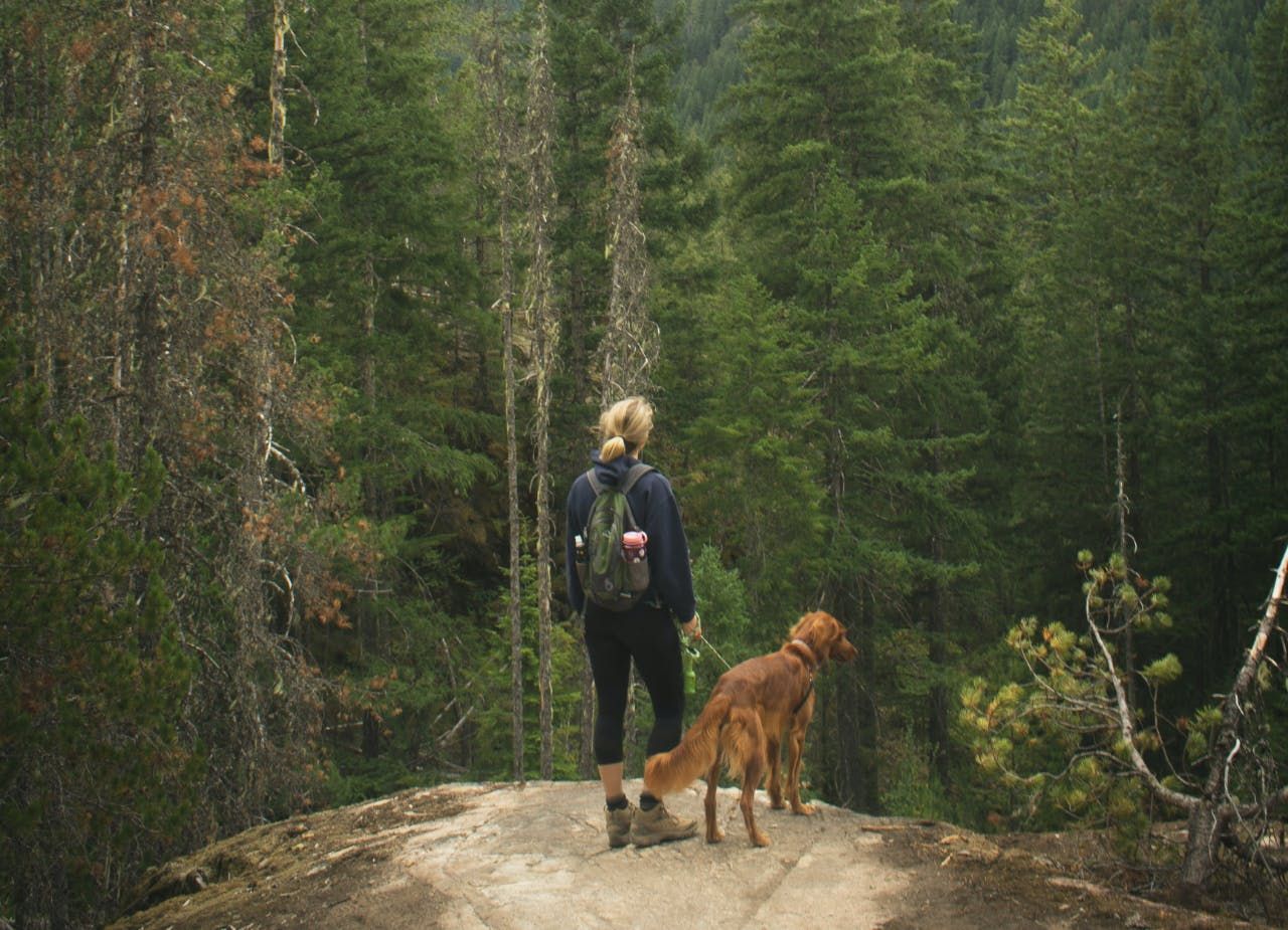 3_ways_to_enhance_your_hike_with_cannabis_f0865c2d14