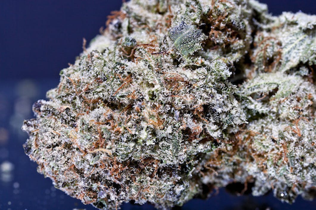 MK Ultra cannabis strain