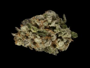 Close-up of Candyland bud