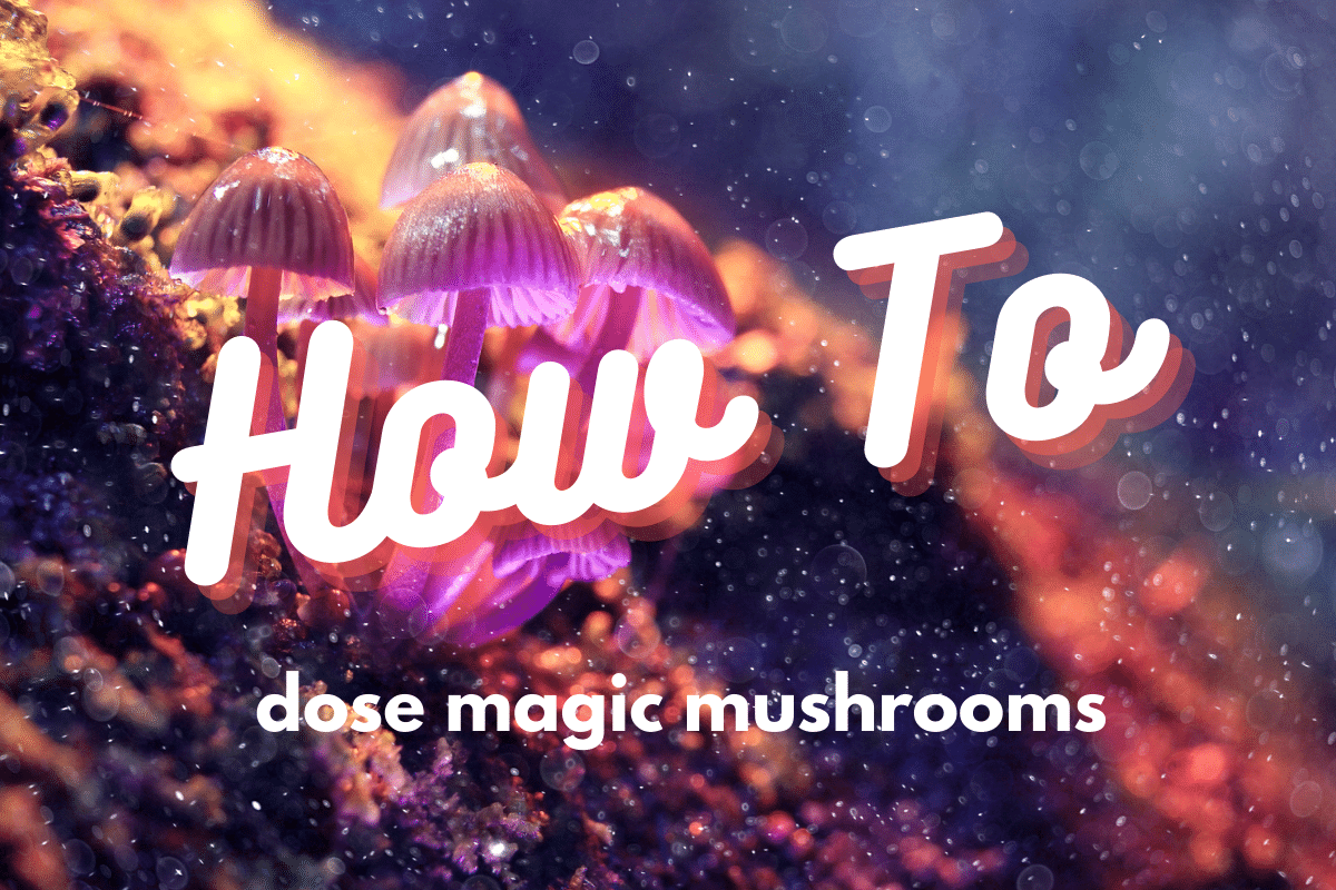"How to" text over pink 'shroom image