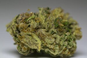 Close up of Larry OG Bud