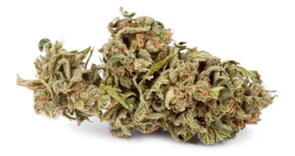 Popular marijuana strain: Jack Herer