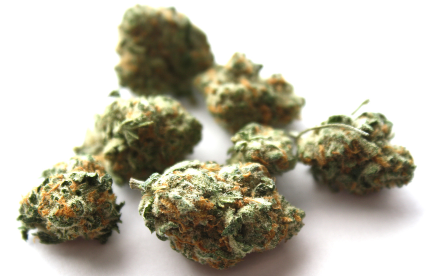 Popular marijuana strain: Cannatonic