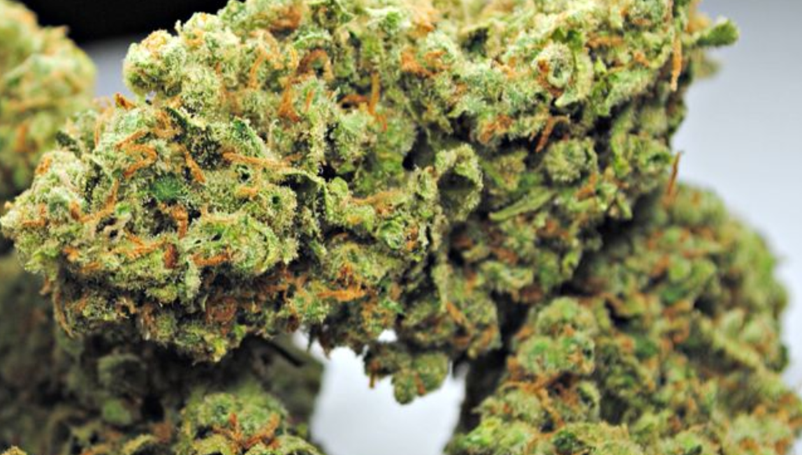 Fatigue-fighting marijuana strain: Jack Herer