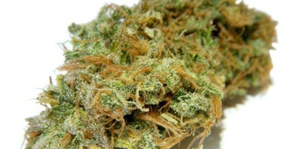 Fatigue-fighting marijuana strain: Juicy Fruit