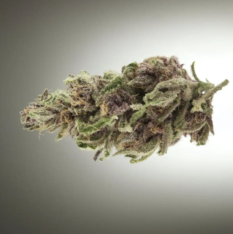 Close-up of a Jah Goo bud