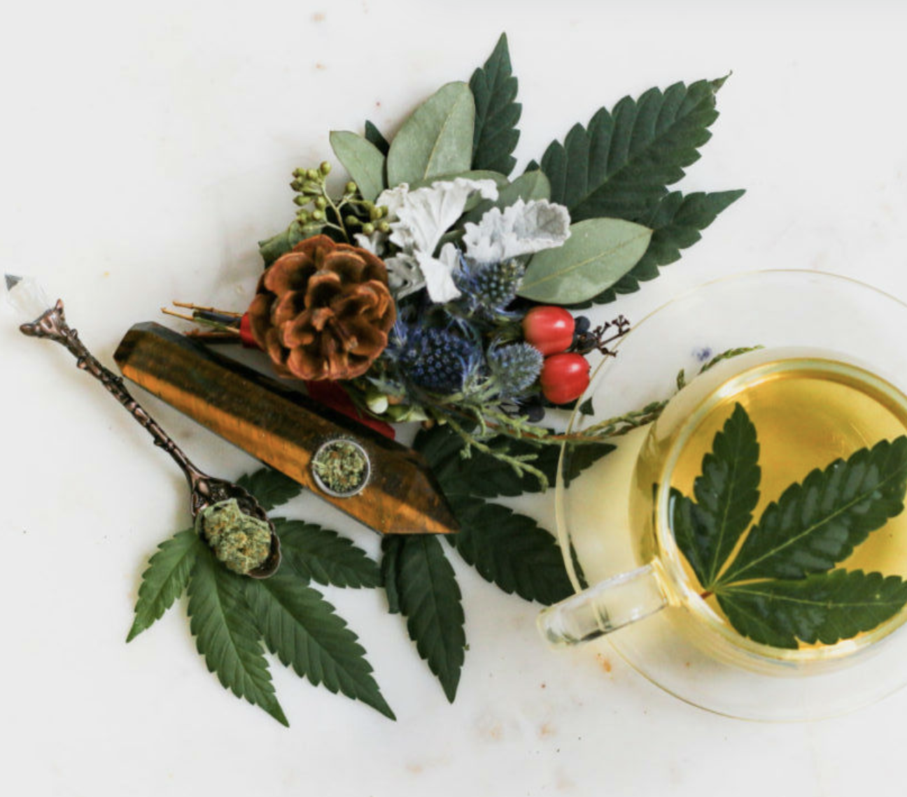 Cannabis can replace alcohol quite nicely.