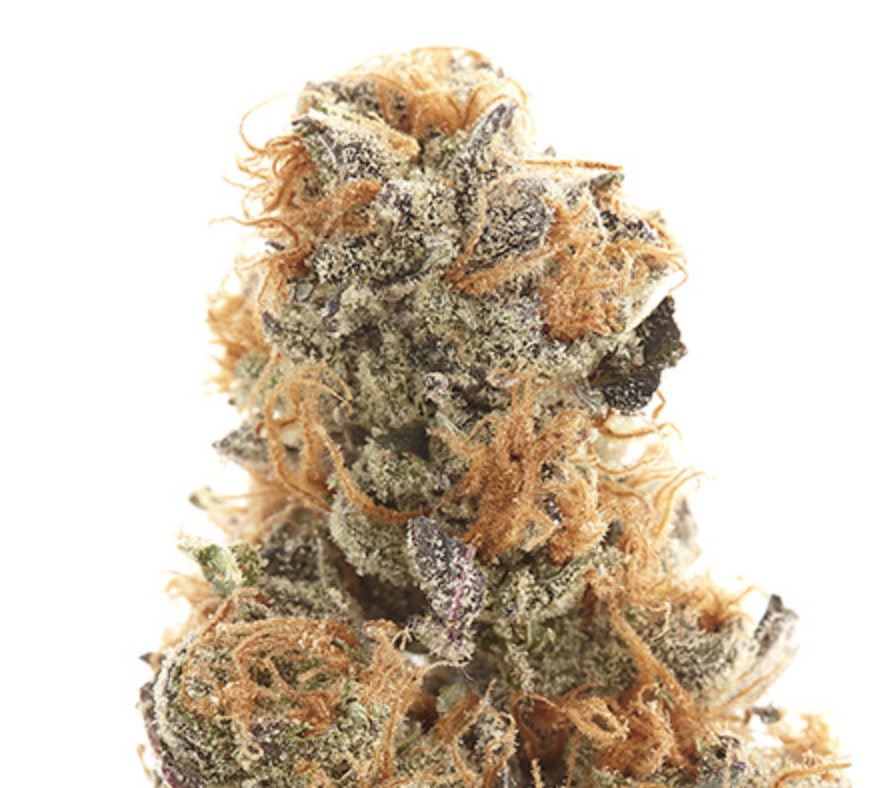 Lavender cannabis strain