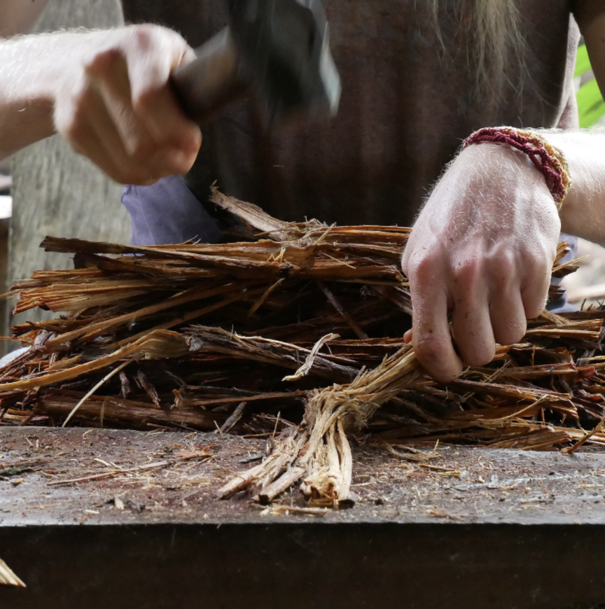 Ayahuasca is made from a vine in the Amazon