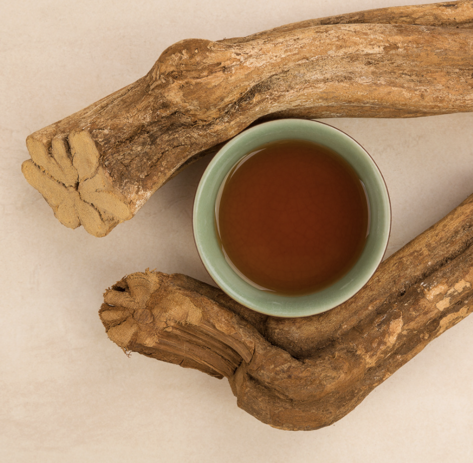 Ayahuasca is a brew or tea made from vines and a specific leaf