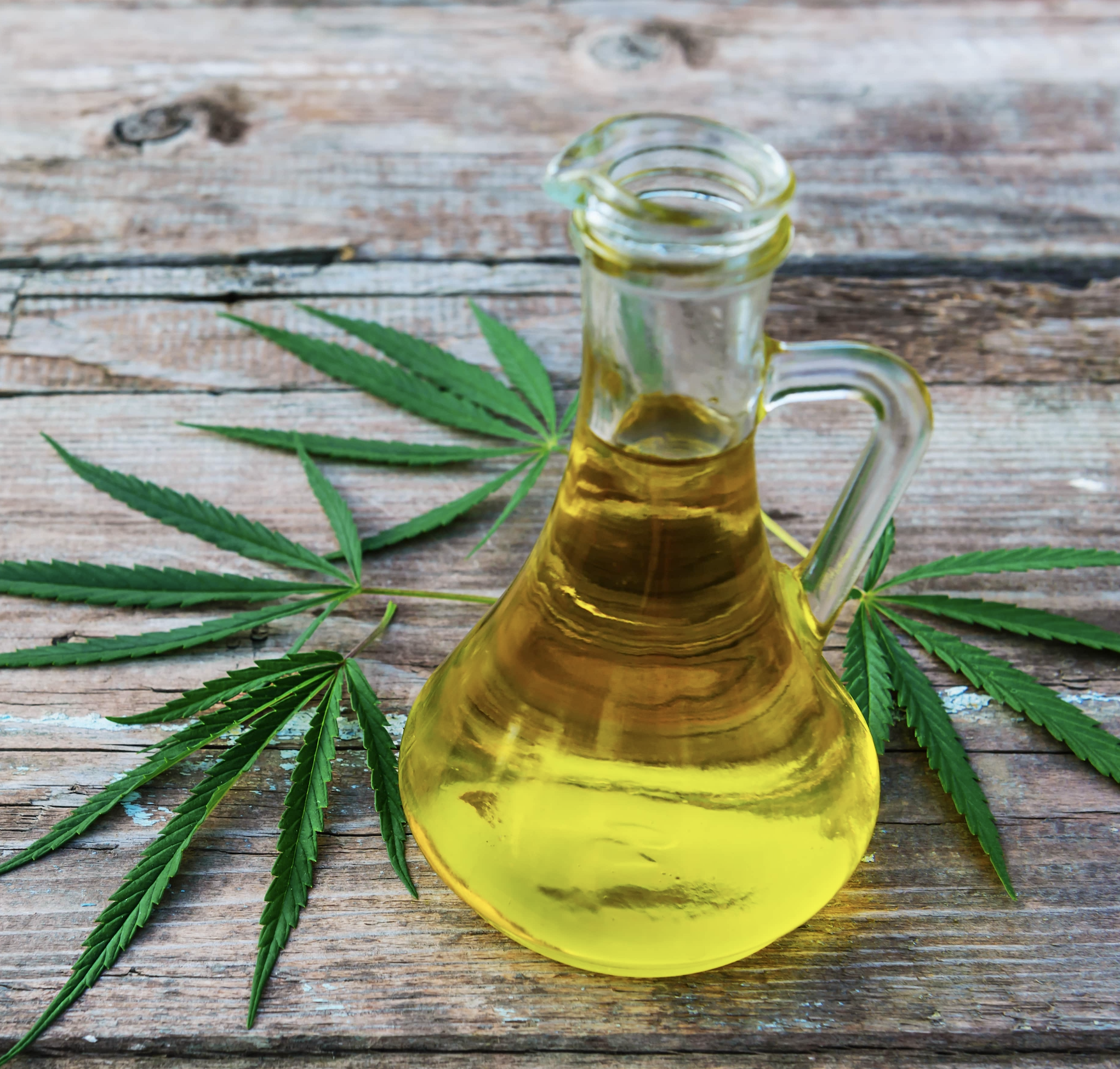 Cannabis infused oil
