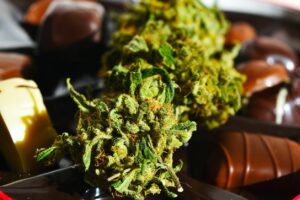 Close up of Valentine X bud