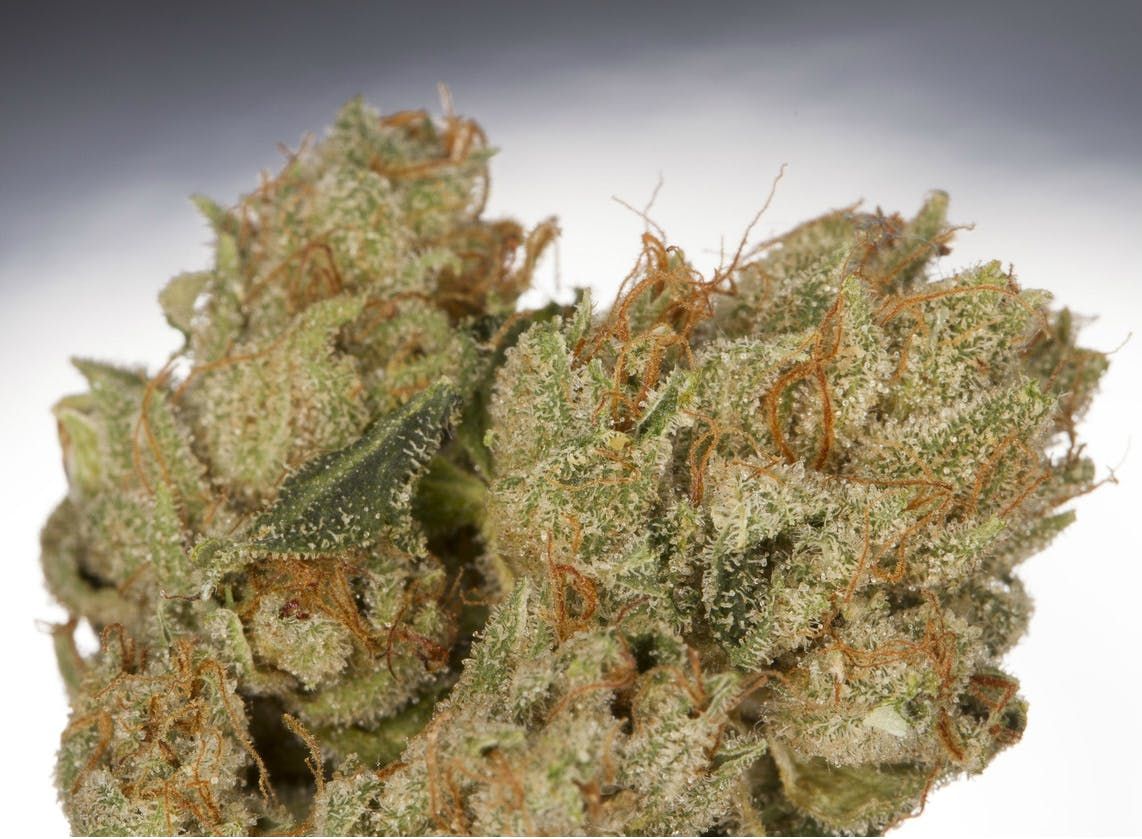 cannabis_landrace_strains_what_they_are_and_why_theyre_hot_846c0f9d81