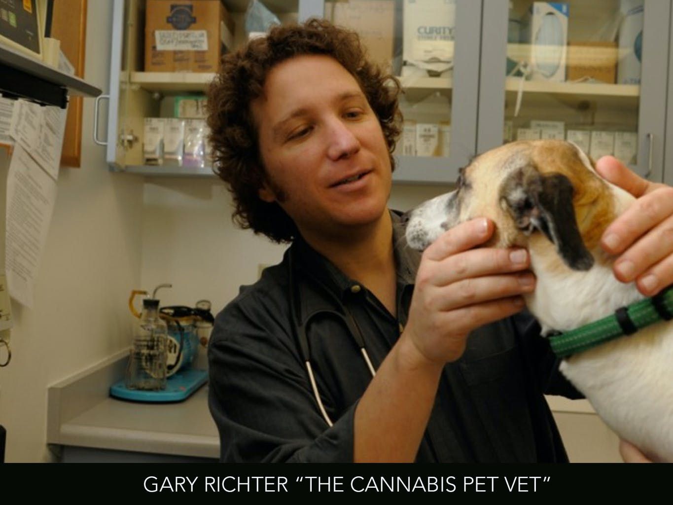interview_with_dr_gary_richter_the_cannabis_pet_vet_d241a9a218