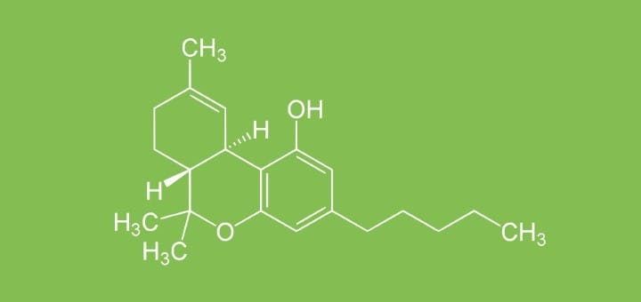 kicking_cancer_and_chemotherapy_symptoms_with_cannabis_acbae4ab82