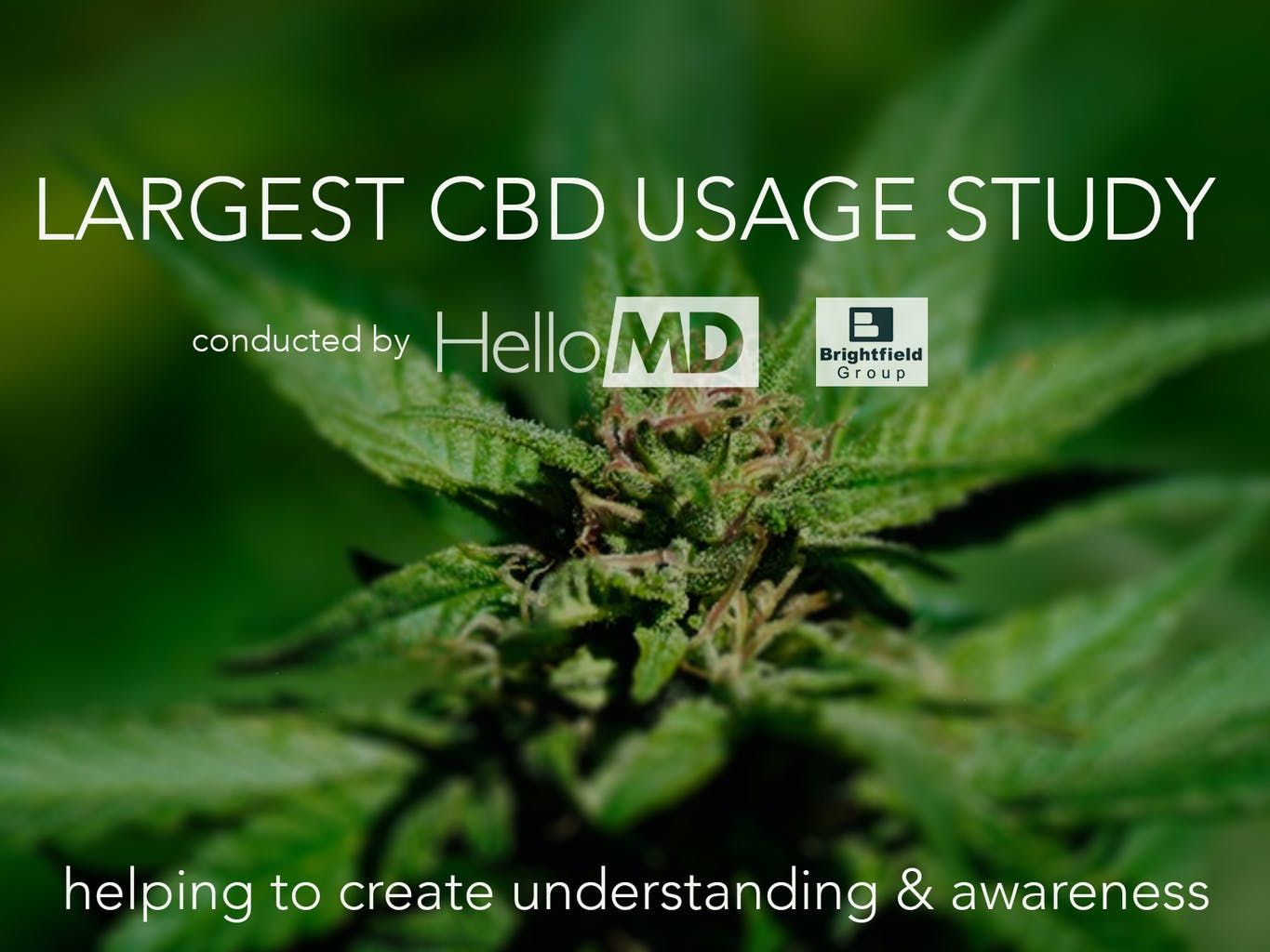 largest_cbd_usage_study_published_by_hellomd_with_brightfield_group_ead621298e