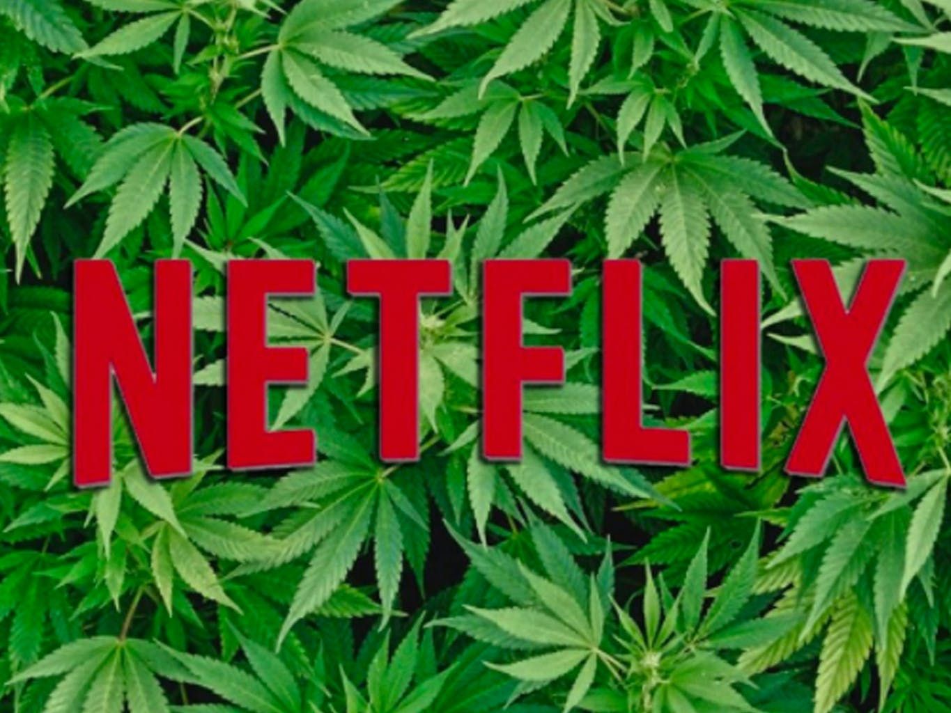 netflix_pushes_marijuana_further_into_pop_culture_dec0b09e1b