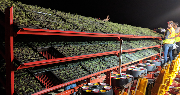 Colorado hemp growing operation