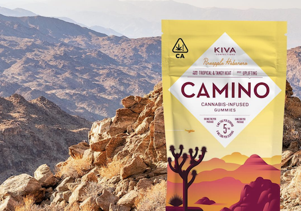 Kiva Confections Pineapple Habanero Camino Gummies