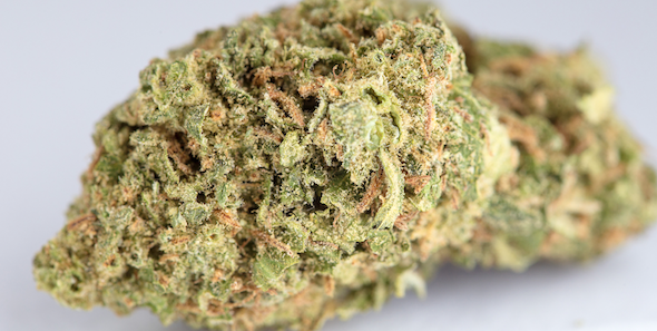 Pineapple Express cannabis strain