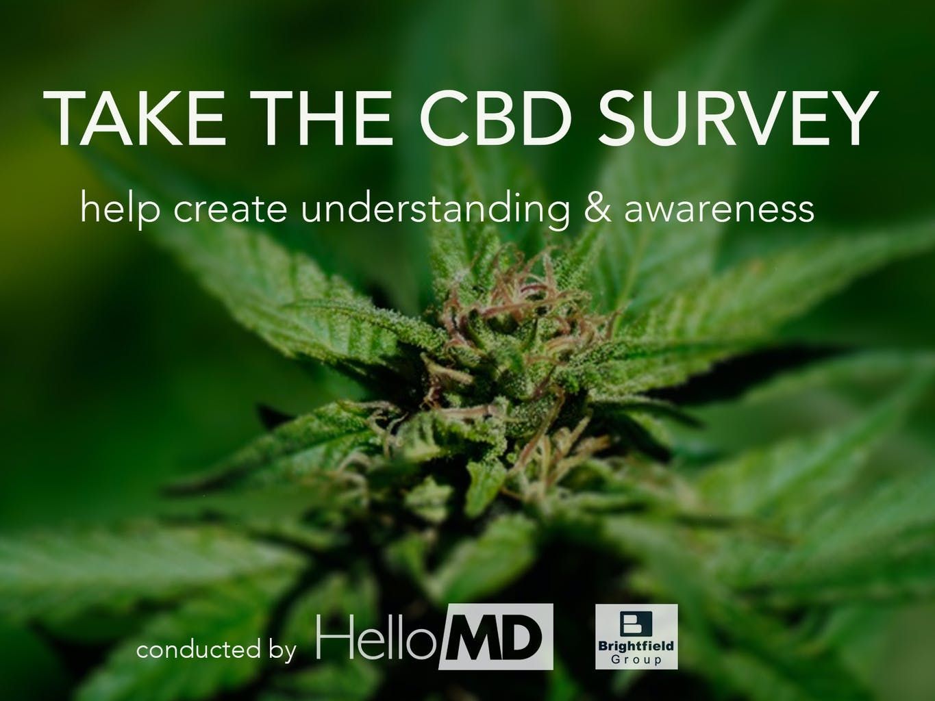 take_the_cbd_survey_win_a_firefly_2_30d29c16a1