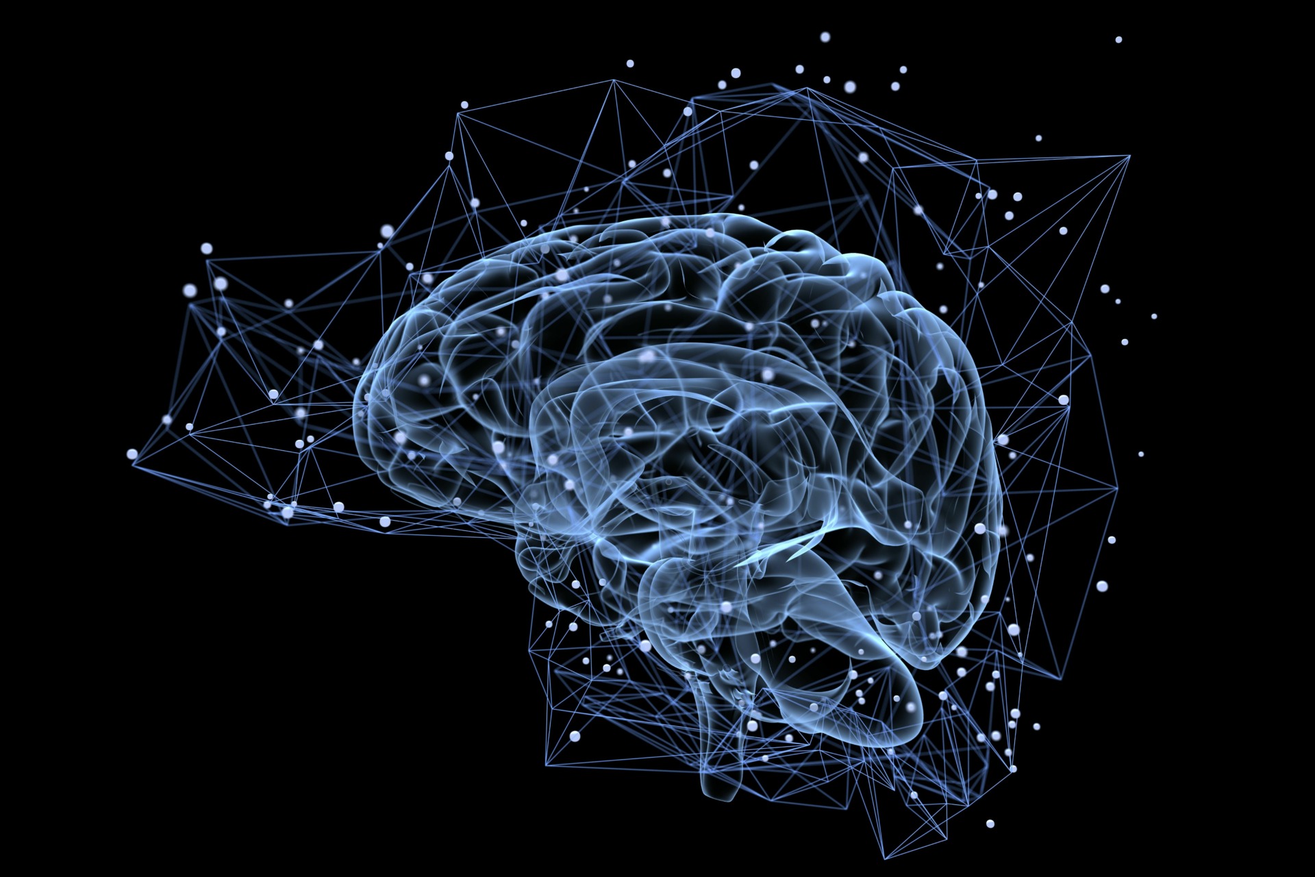 The brain's neural pathways, and interrupting the Default Mode Network with psychedelics