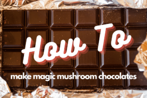 Text overlayâ€”How to Make Magic Mushroom Chocolatesâ€”on a chocolate bar background