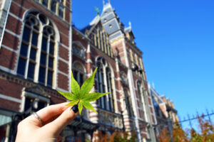Cannabis leaf against building in Netherlands, to illustrate history of medical marijuana