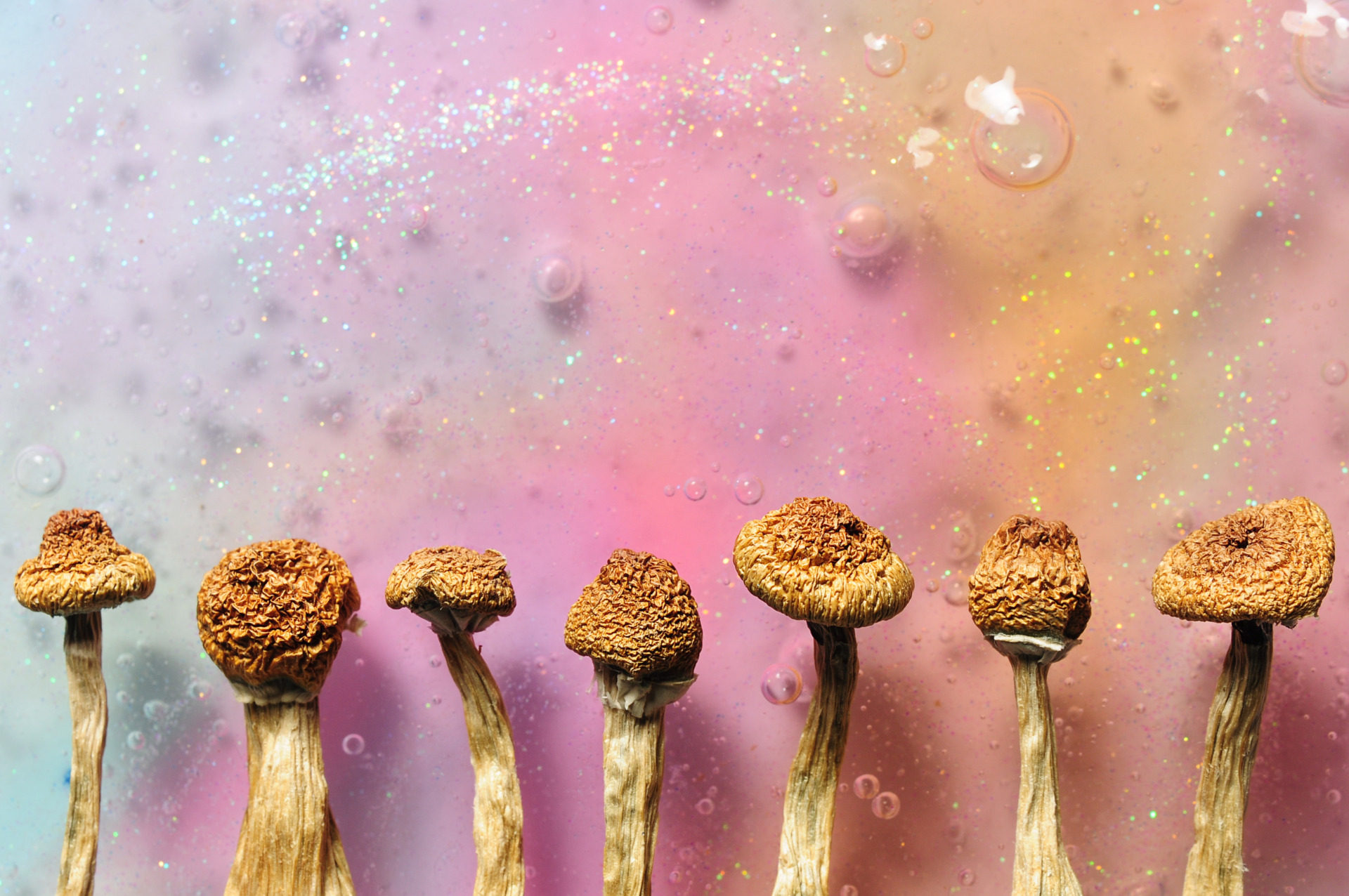 Psilocybin,Mushrooms,On,Pink,Bright,Colorful,Background